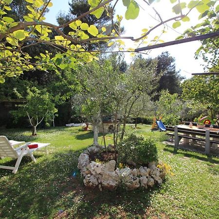 Modern Apartment Sabina With Nice Garden Poreč Zewnętrze zdjęcie