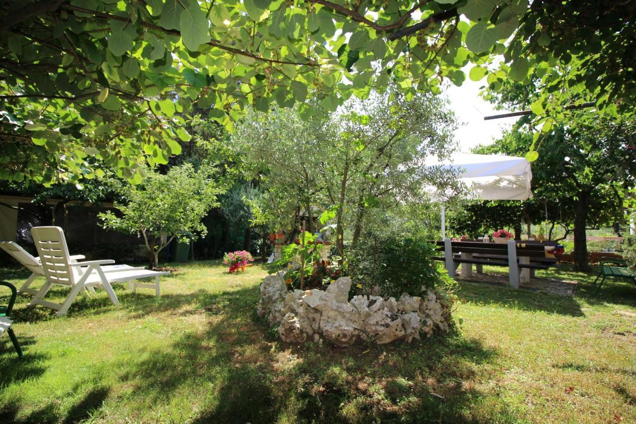 Modern Apartment Sabina With Nice Garden Poreč Zewnętrze zdjęcie